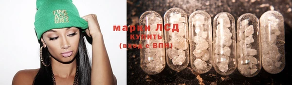 mdpv Горно-Алтайск
