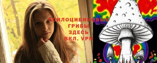 прущие грибы Пролетарск