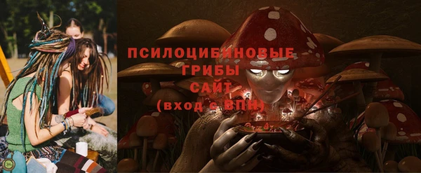 гидра Вязники