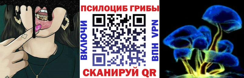 Галлюциногенные грибы Psilocybine cubensis  Дивногорск 